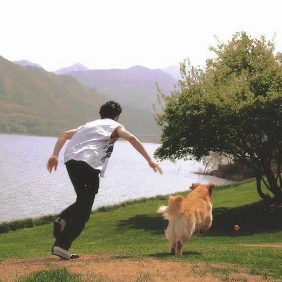 吃炸鸡了没