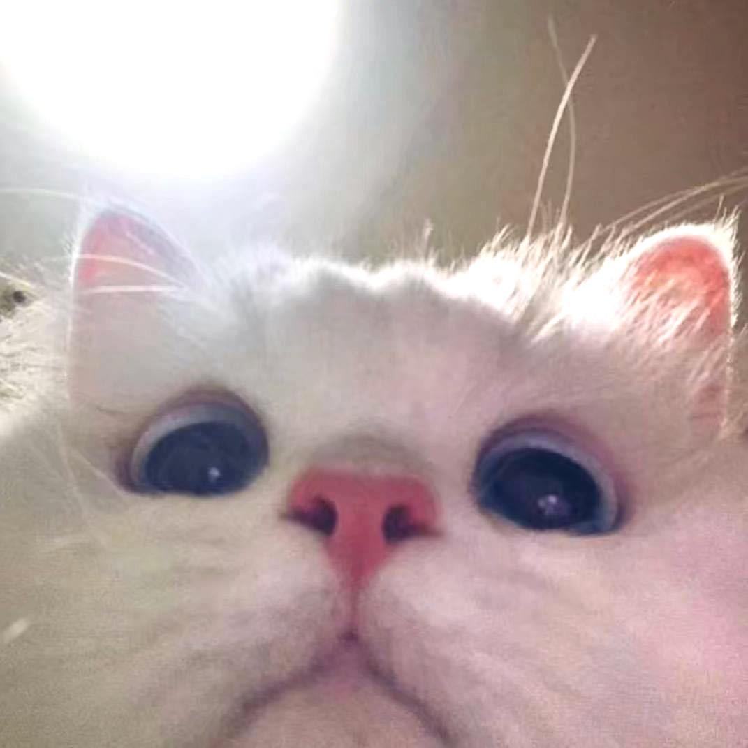 yyy1