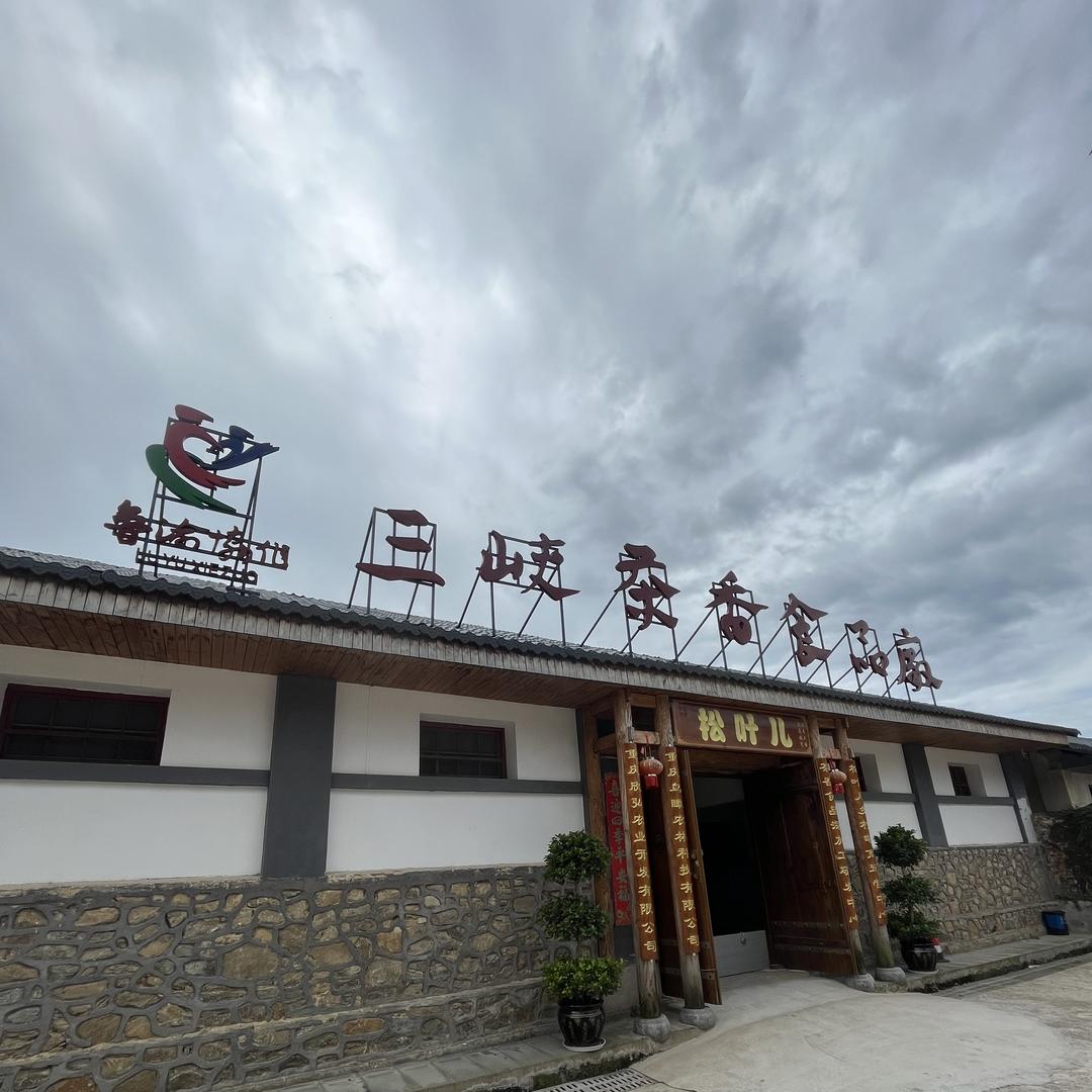 松叶儿三峡茶香鸡
