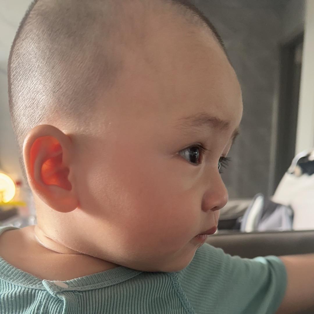 随心所欲