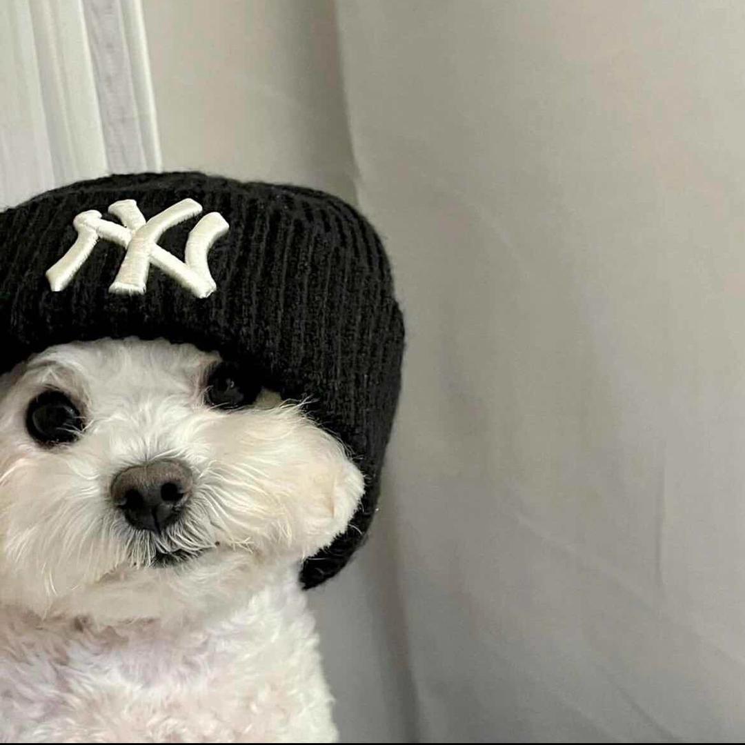 起什么名字好呢