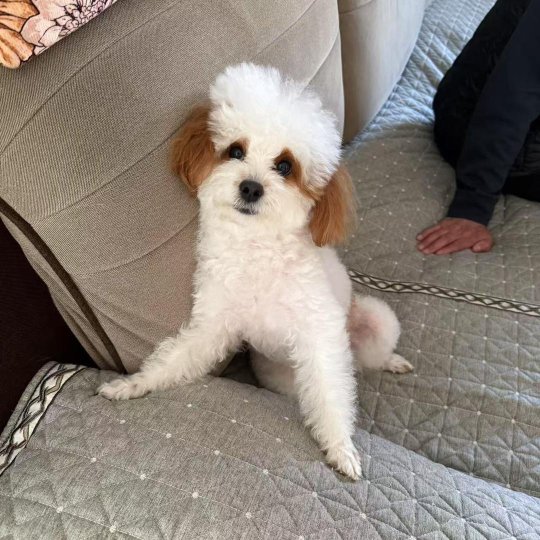 嘻嘻～