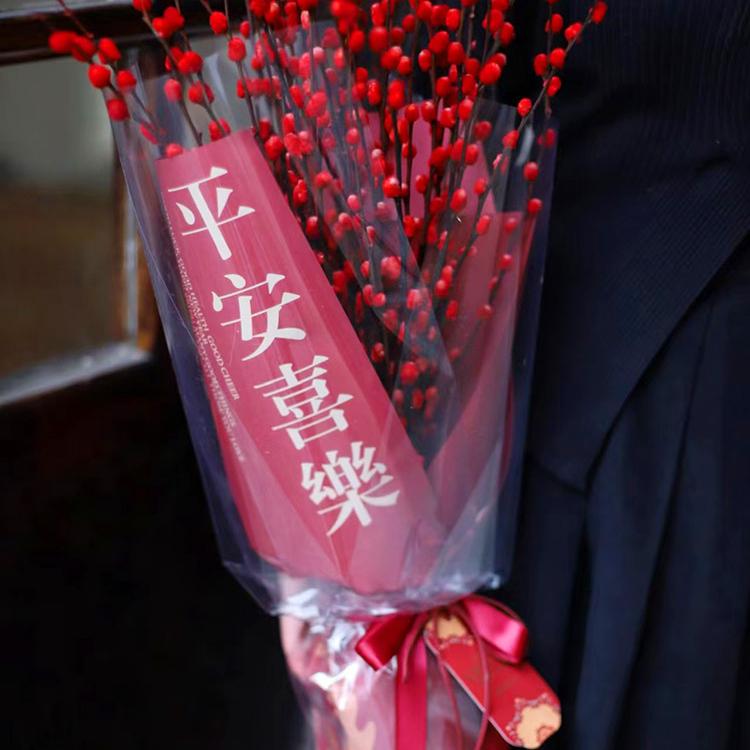 七彩银柳