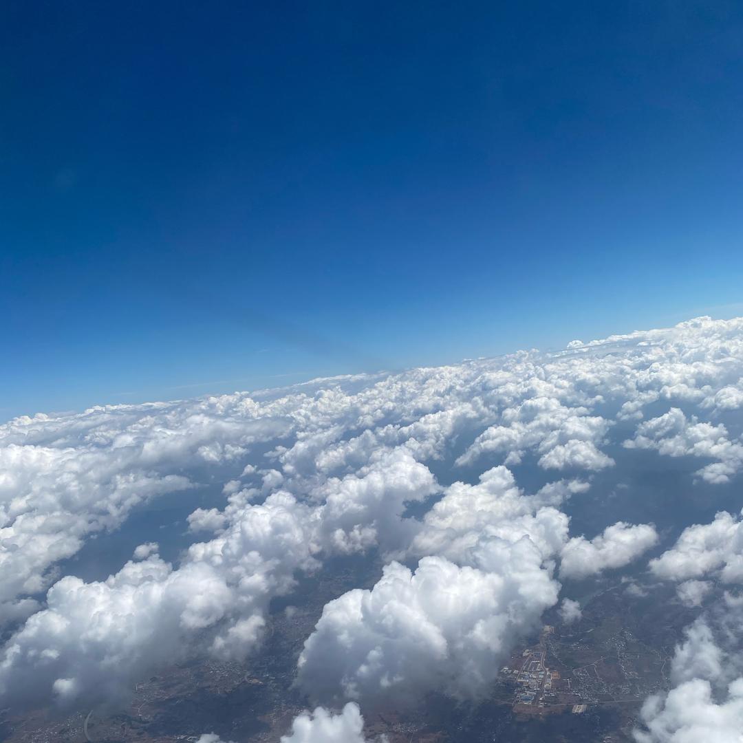 爱吃桃子的猴子