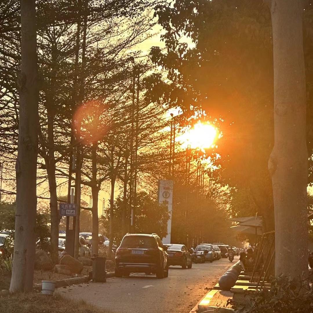 就是咖啡不加糖