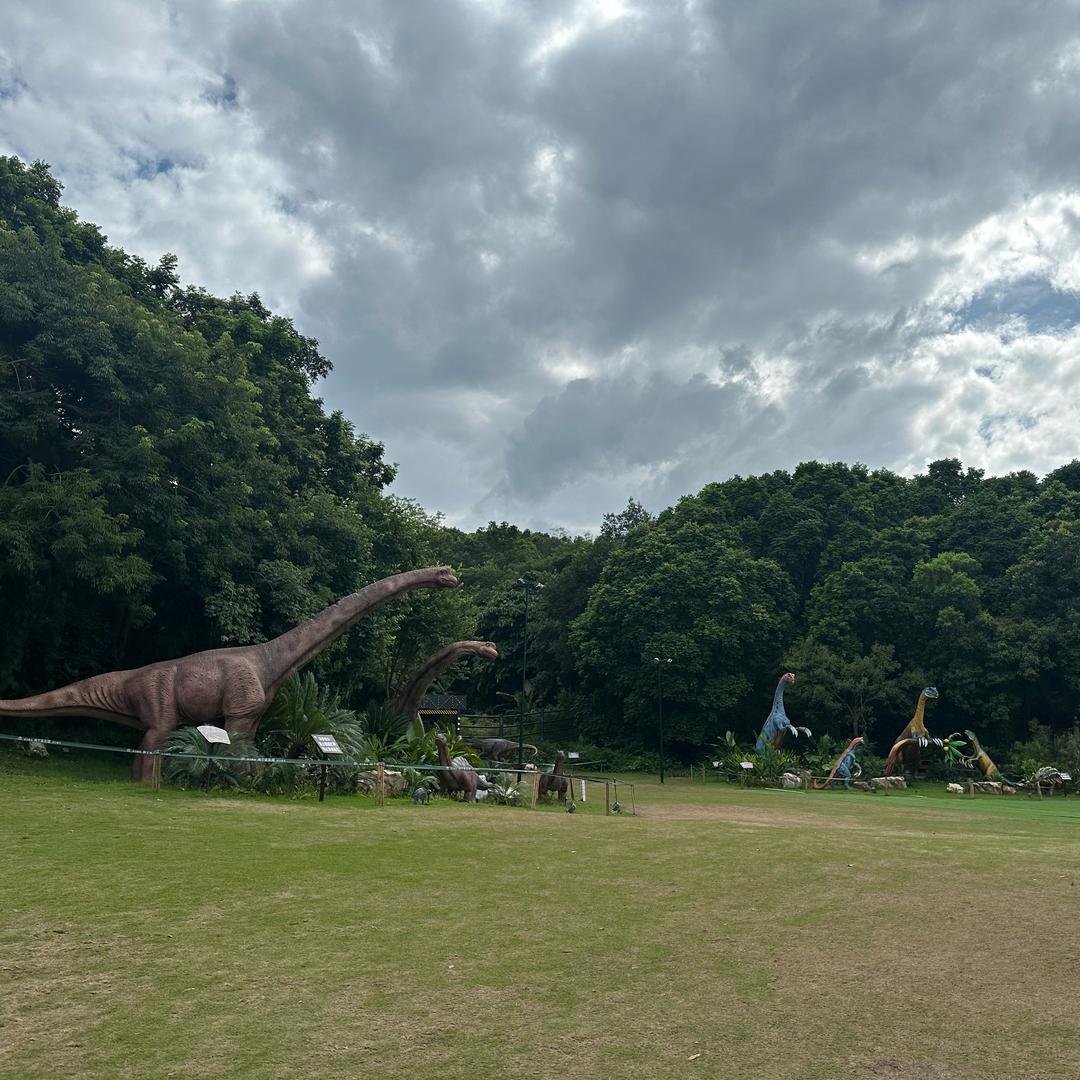 发梦日记