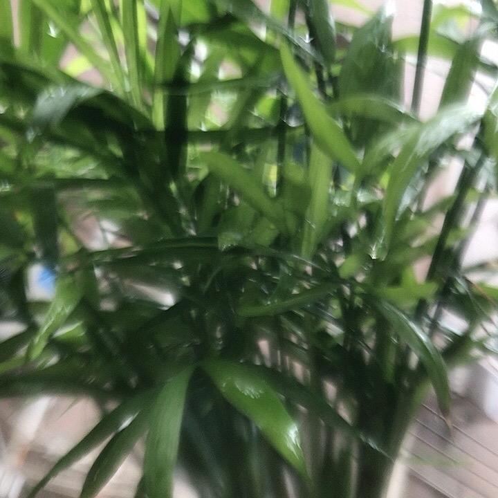 岁月静好