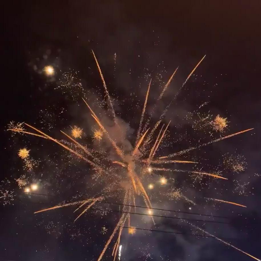 ᙏ̤热兔兔子姬