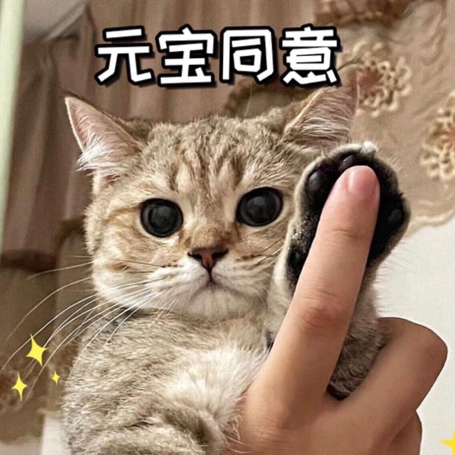 李元宝❗️❗️