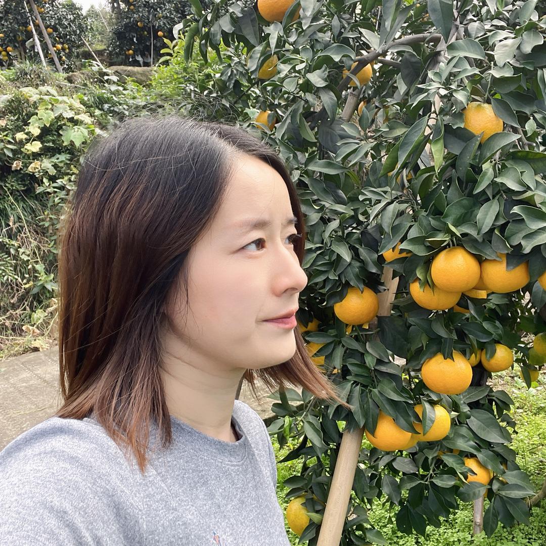 周天佑果园（爱媛果冻橙在橱窗）