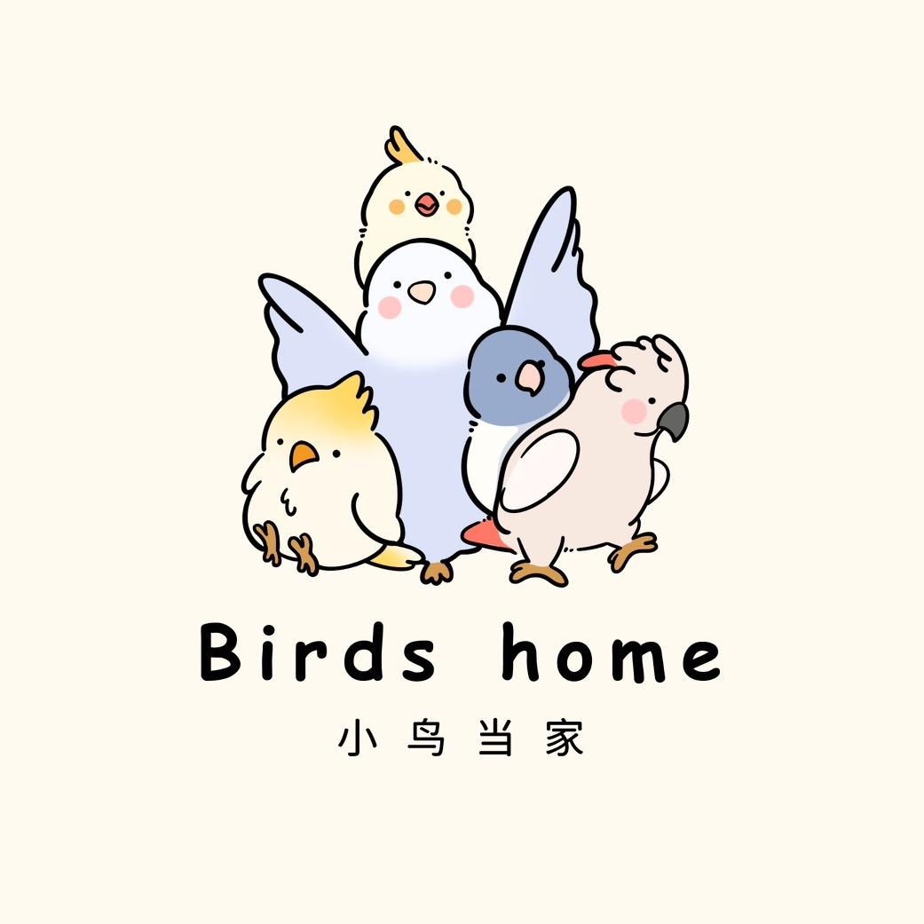小鸟当家