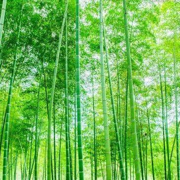 鑫长兴