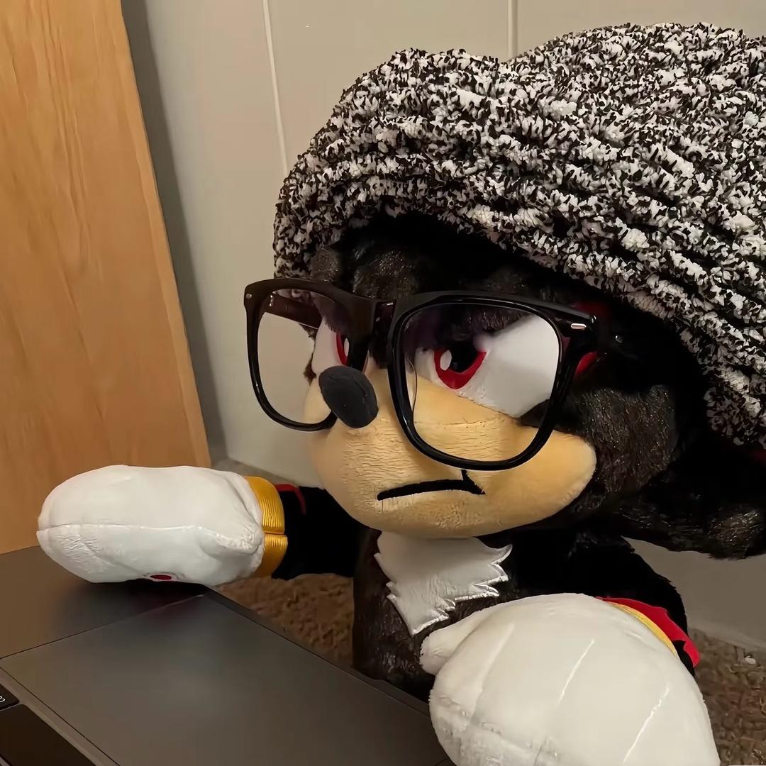 广州网约车大猫