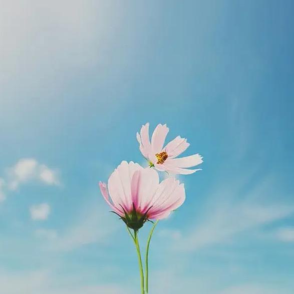 春暖花开