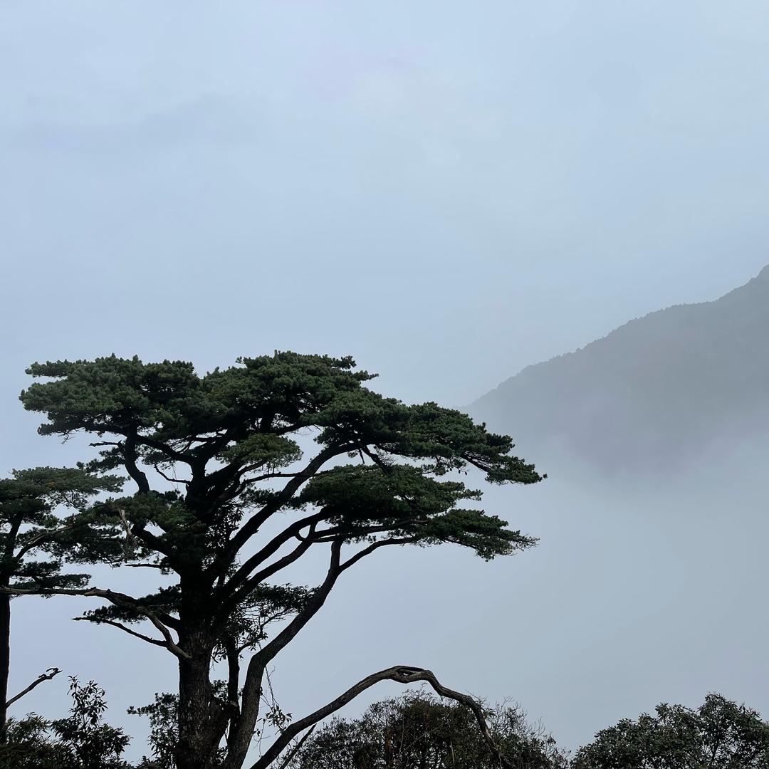 风声水起
