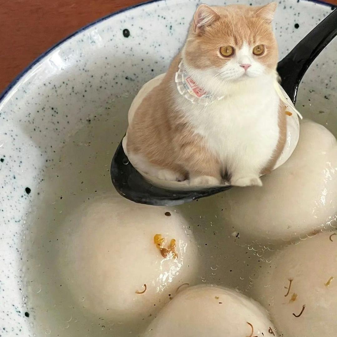 吃饱了不饿头像