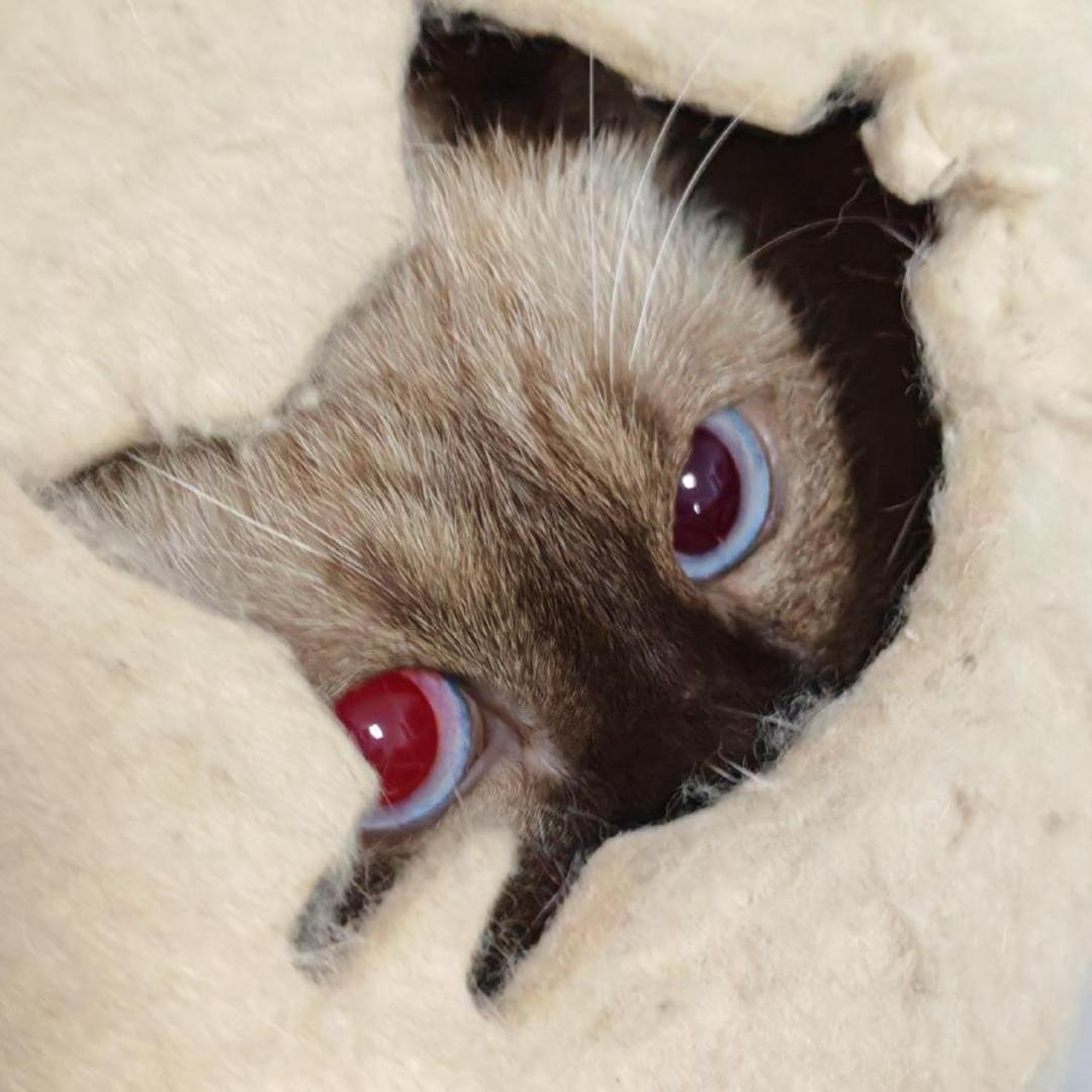 逢