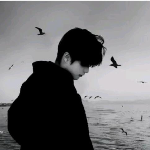 ㅤㅤㅤㅤㅤㅤㅤㅤㅤㅤㅤㅤㅤㅤㅤ