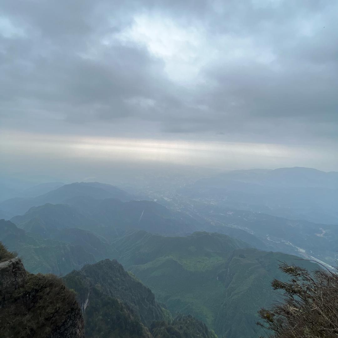 小刘