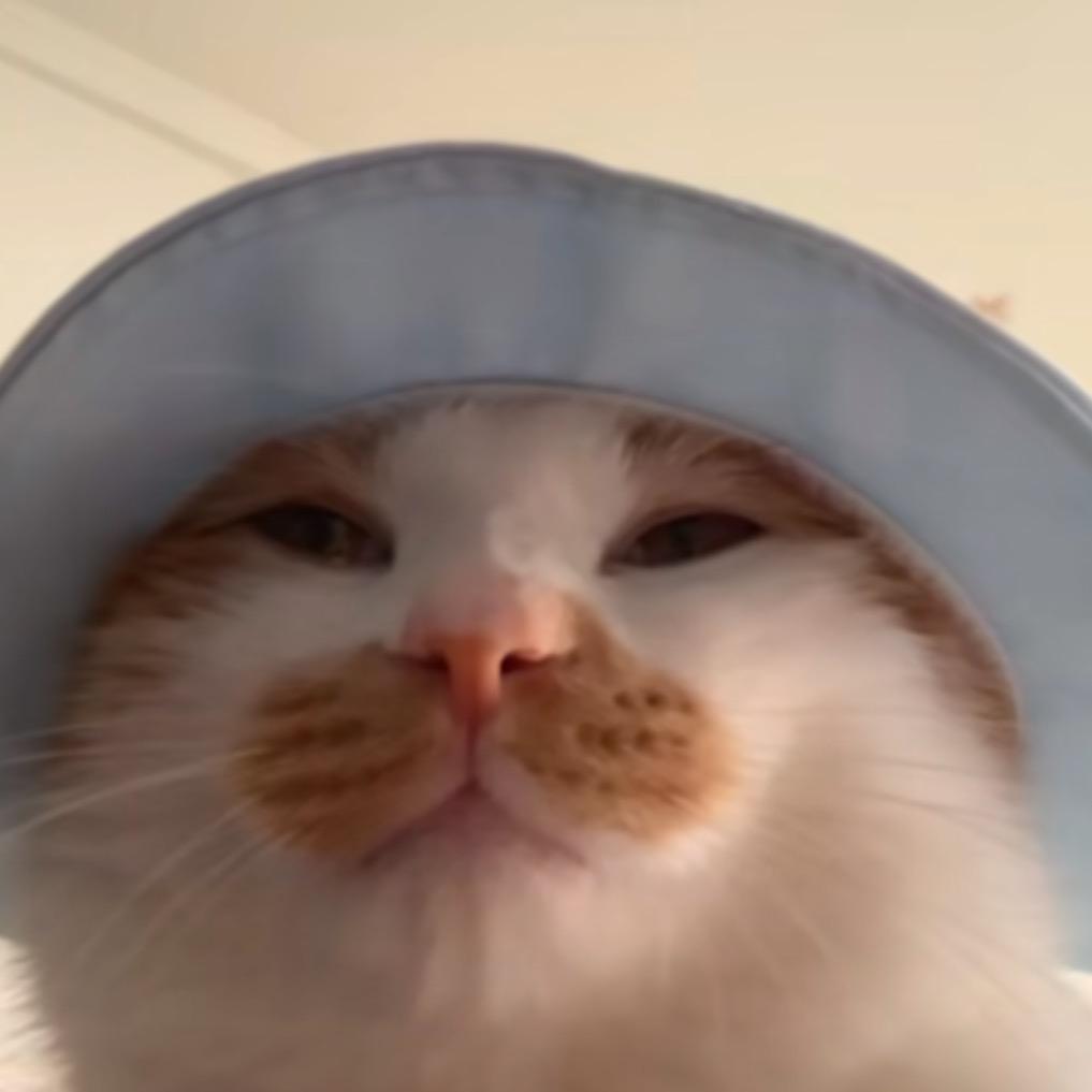 阿木
