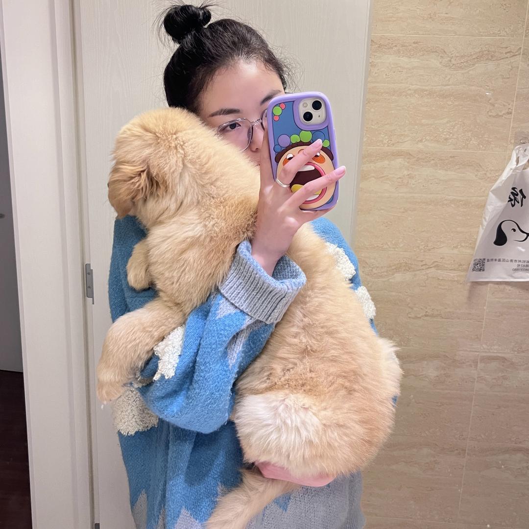 花开富贵险中求