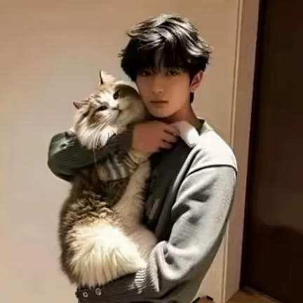🌈离岛的猫-