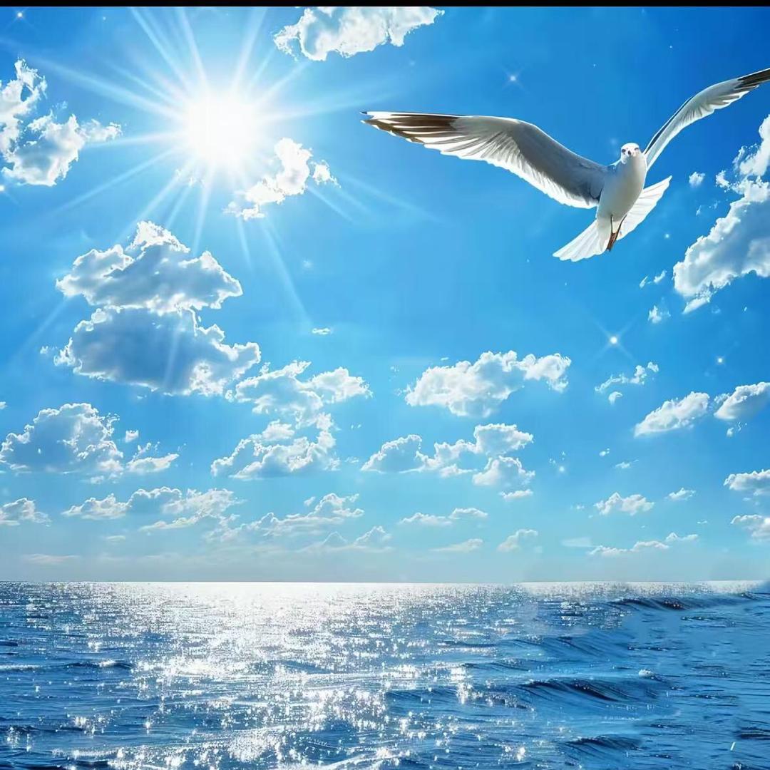 六六八严选工厂