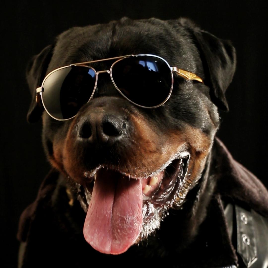 大皮球好饿@抖音