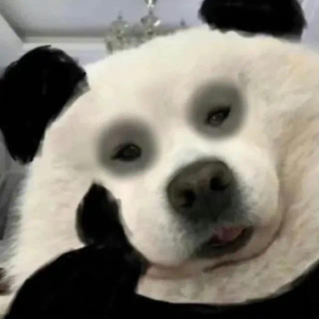 我才不在意