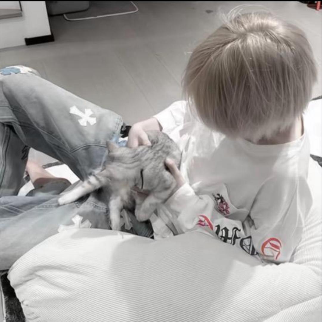 我有许多烦心事