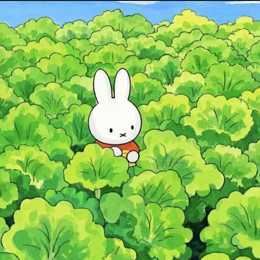 鲨手淼淼