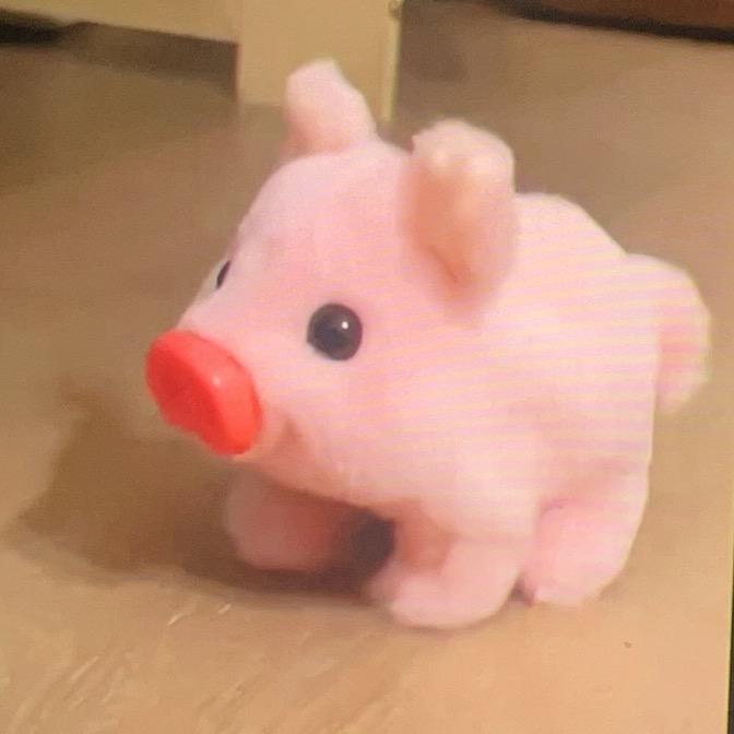 柚子皮🍤🍣