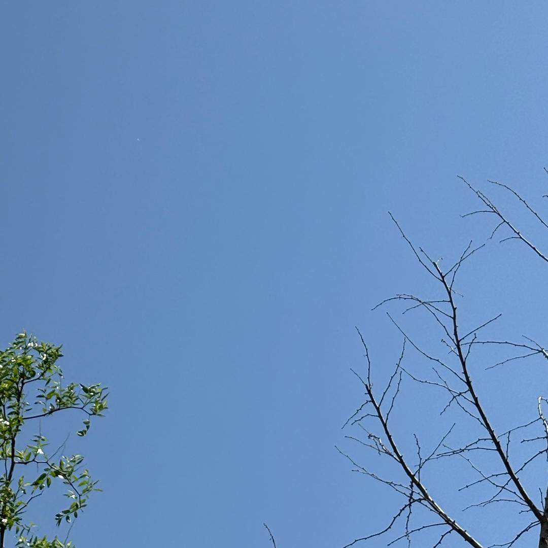 幸运。