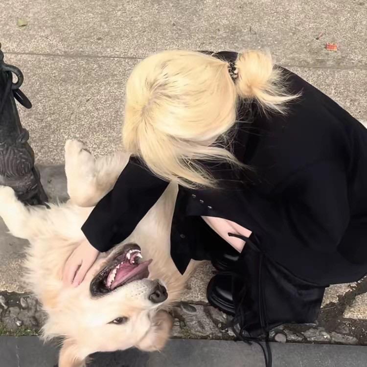 租房找wo