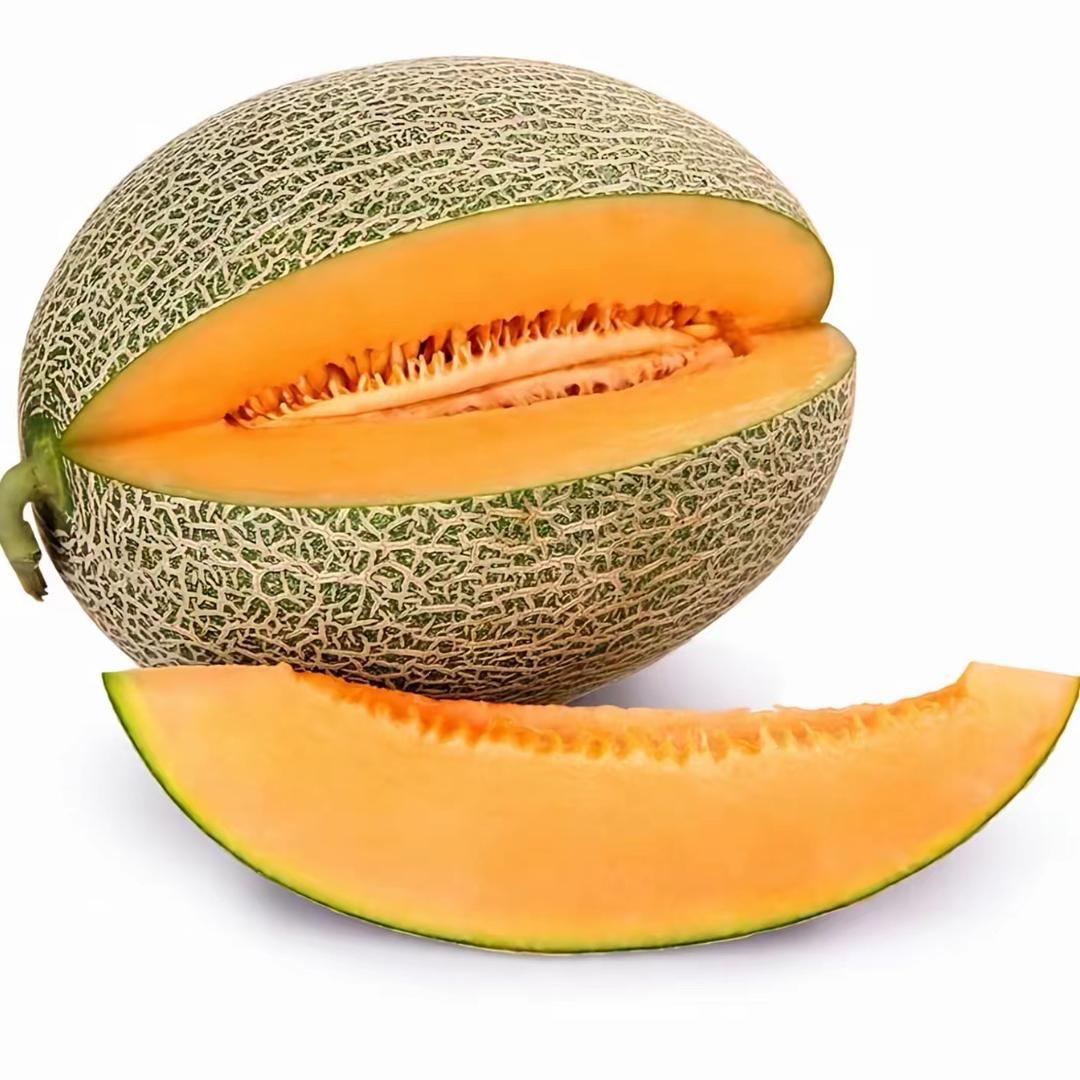 海南哈密瓜（现摘现发）
