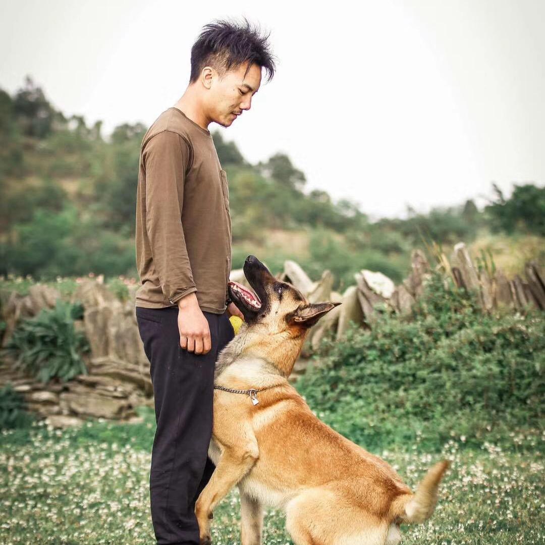 犬文化—贵阳黔通训犬学校
