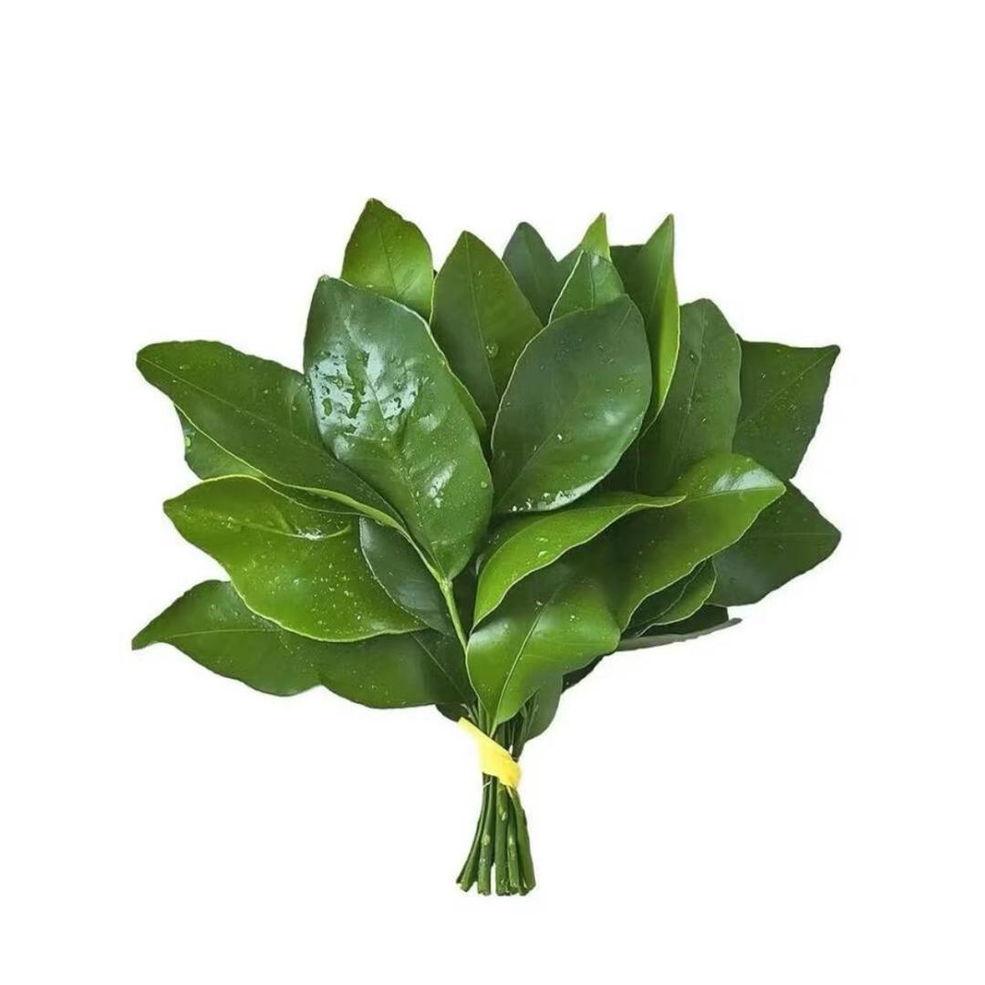 xue -