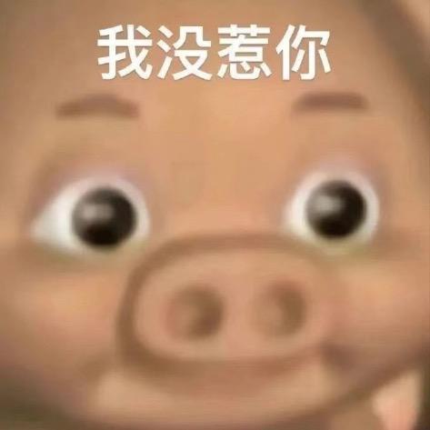 我没惹你