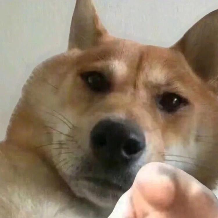 两点二十九分