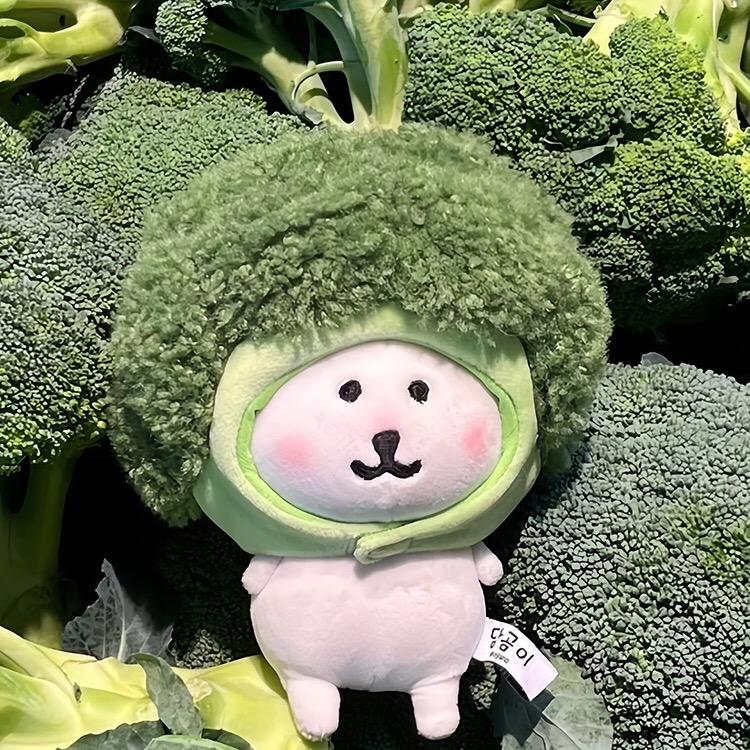 朵朵园艺推荐