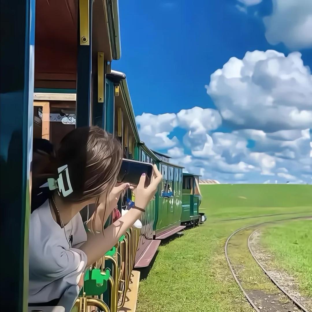 蓝色水母