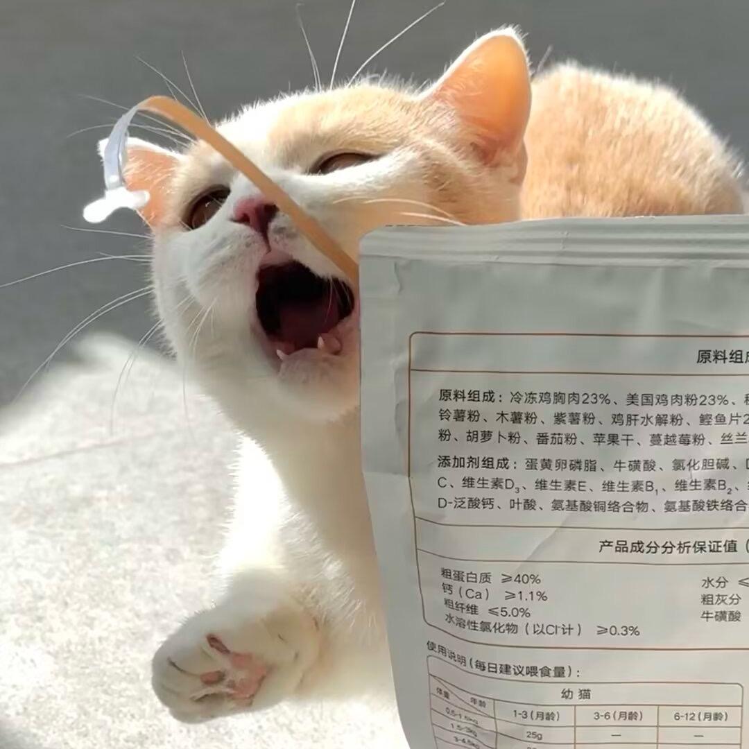 五芊芊