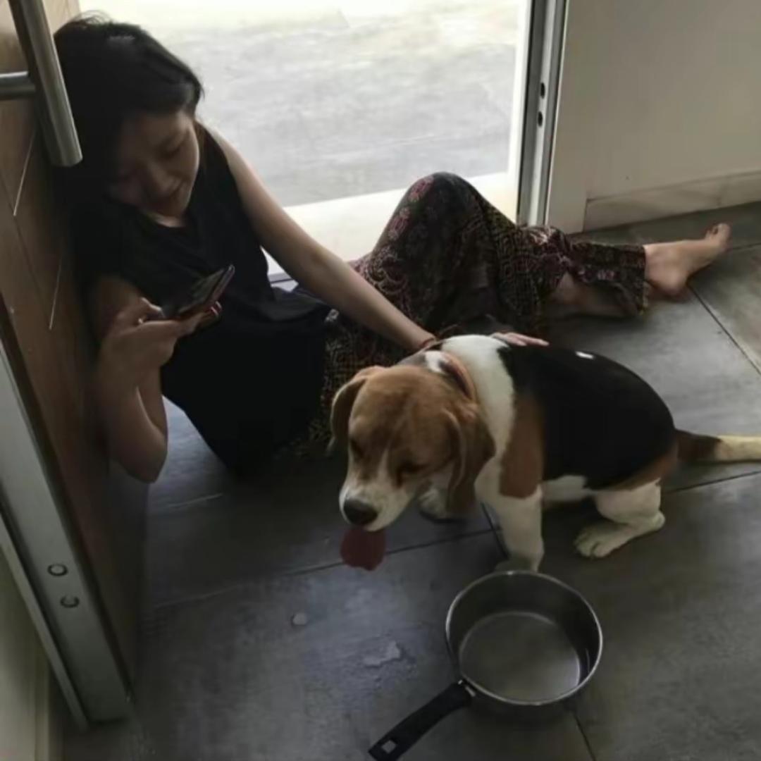 爱吃鸡蛋肠粉
