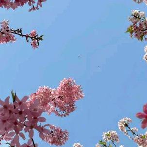 沸騰與骨頭
