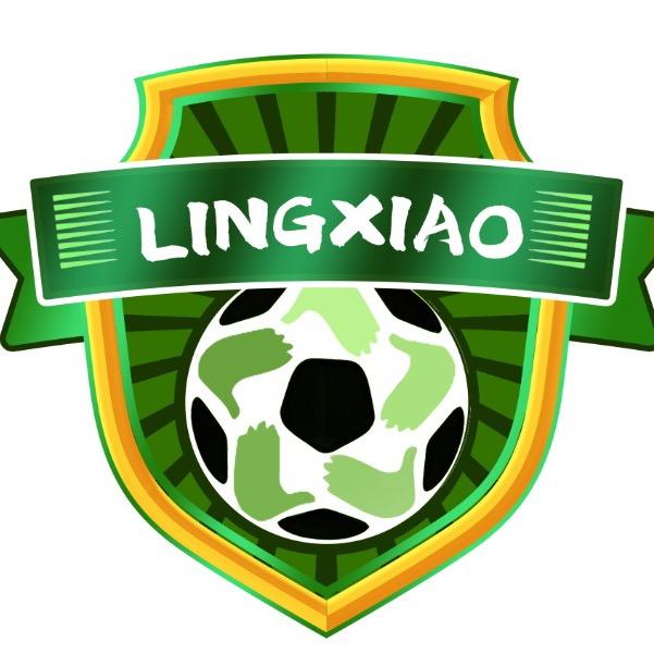 领骁足球俱乐部