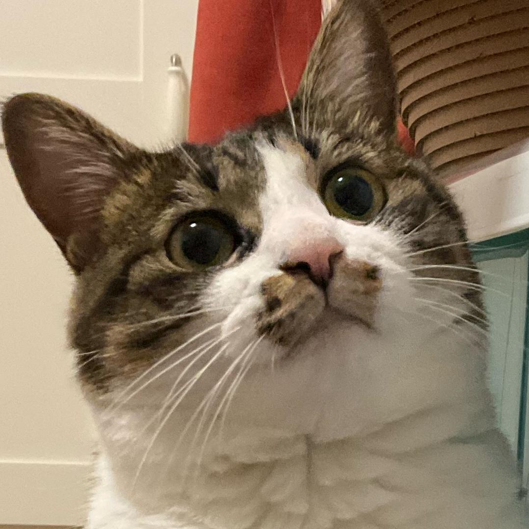 小yu🐟