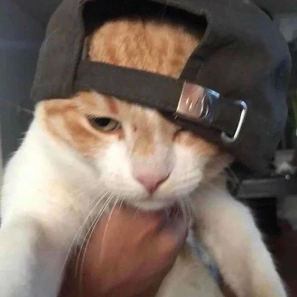 明天见：