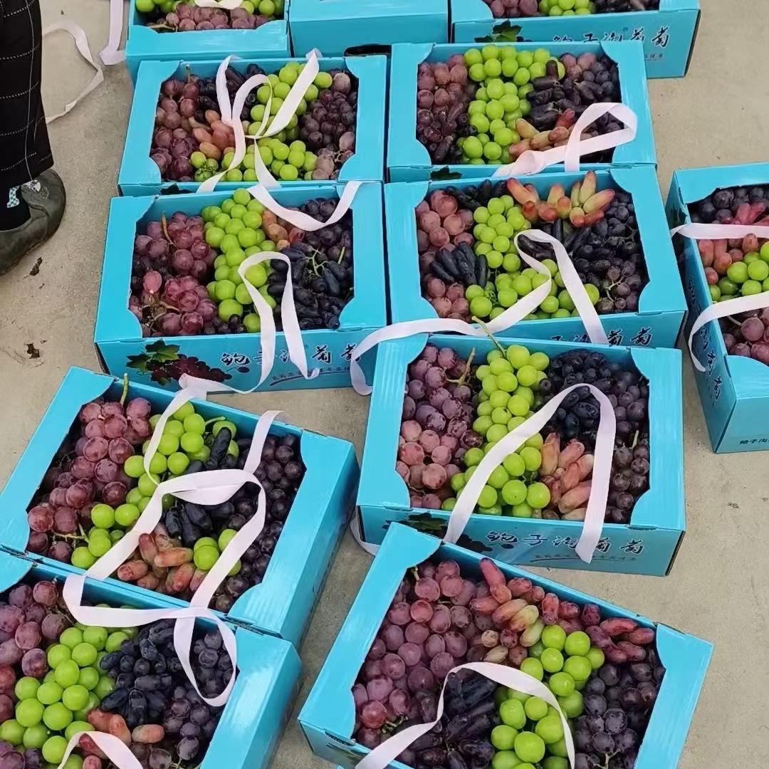 大帅葡萄🍇采摘基地
