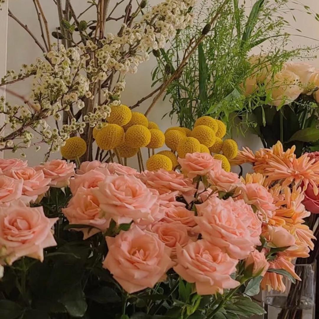 $$王美丽