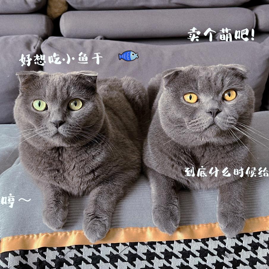 盐